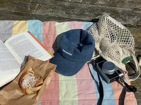 Sunlit picnic with cap, camera and a kanelbulle